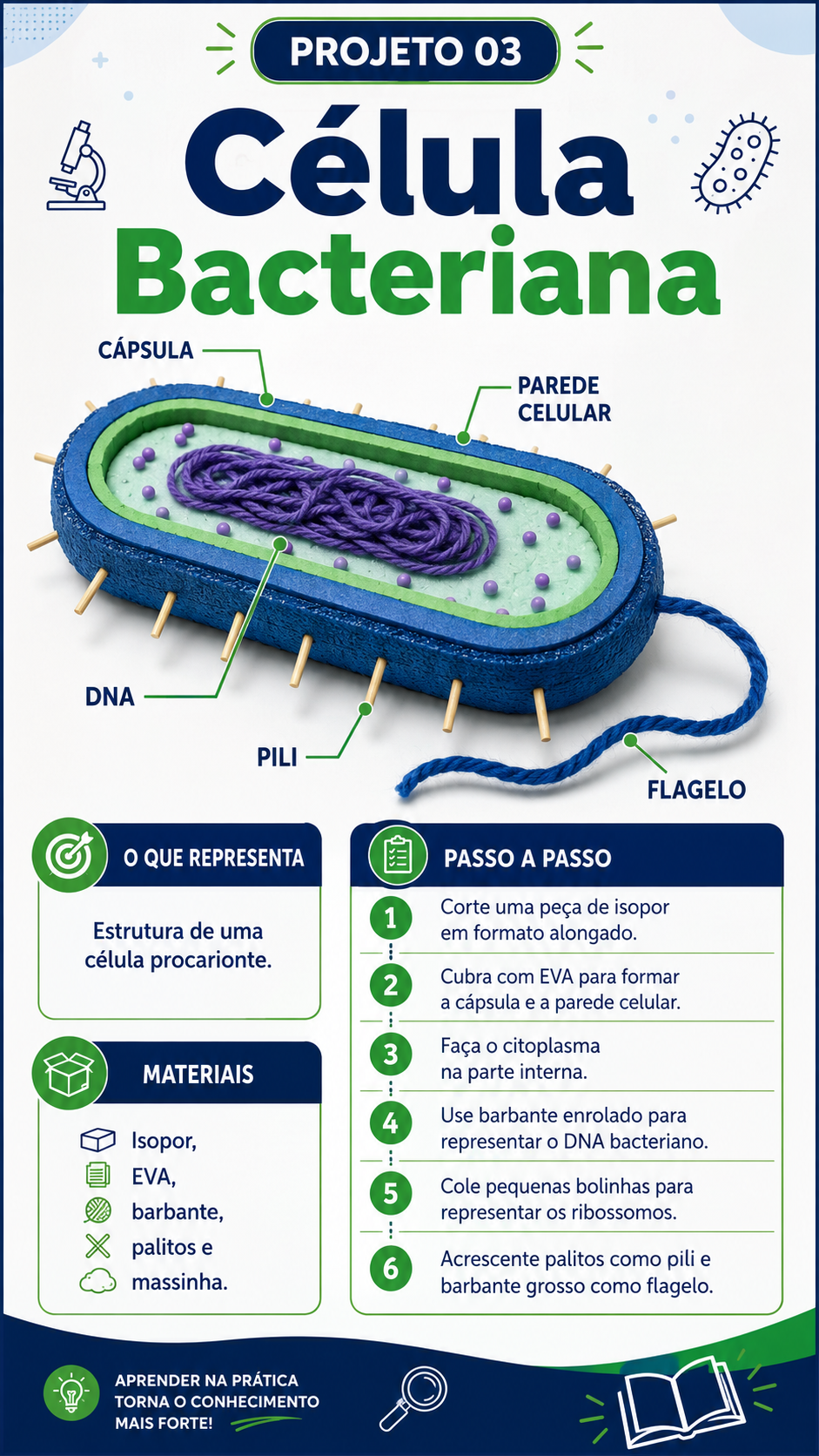 Prévia dos projetos de Astronomia