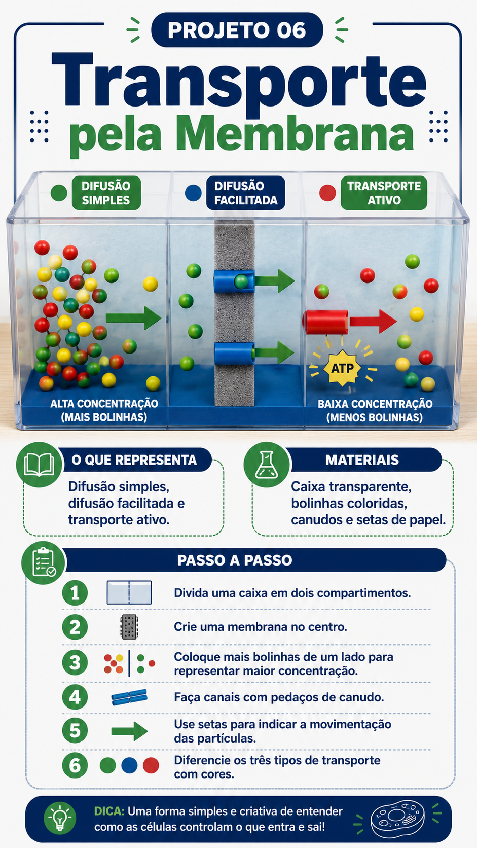Prévia dos projetos de Astronomia